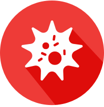 Virus Icon
